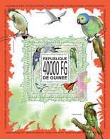 Guinea 2013 MNH - BIRDS. Yvert&Tellier Code: 1592  |  Michel Code: 10084 / Bl.2297 - Guinée (1958-...)