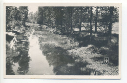 CPA 18 ARGENT Sur SAULDRE - Bords De La Sauldre - Vue Peu Commune - Cachet Particulier - Argent-sur-Sauldre