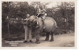 Rhenen Dierenpark Olifant Berga Met Kinderen OB1214 - Rhenen