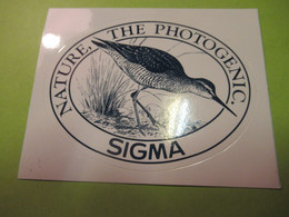 PHOTOGRAPHIE/ Nature The Photogenic / SIGMA/ Bécassine/  Vers 1970-1980    ACOL173 - Stickers