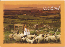 Ireland Postcard Sent To Denmark 6-9-1998 - Autres & Non Classés