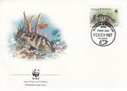 FDC ANTIGUA & BARBUDA 1011,fishes,WWF 4 - Antigua Und Barbuda (1981-...)