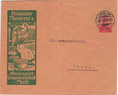 Freiämter Mosterei Obstexport-Genossenschaft Muri Apfelsaft Tracht Ganzsache Bahnpost 1914 > Gemeinde Brugg - Ganzsachen