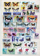 Mix Butterfly - Papillons - Vlinders - Butterflies