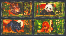 Leopard Tiger Panda Bear Orangutan MONKEY / Bamboo Jungle - 1999 Hungary - Used - Felini