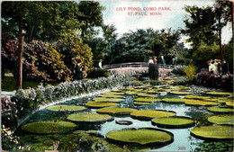 Minnesota St Paul Como Park The Lily Pond 1910 - St Paul