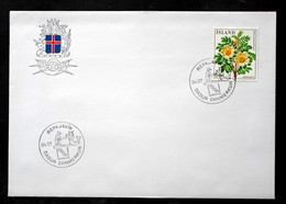 Iceland 1984 Flowers MiNr.612 Special Cancel Cover   ( Lot 6554 ) - Storia Postale