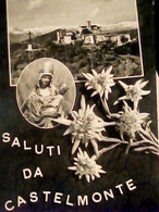 SALUTI DA CASTELMONTE STELLE ALPINE E  MADONNA VB1963 IJ1038 - Udine