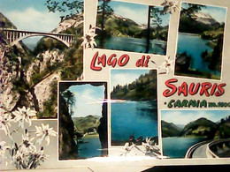 LAGO DI SAURIS CARNIA VEDUTE   VB1971 IJ1042 - Udine