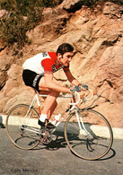 Cyclisme - Eddy Merckx, Champion Cycliste Belge (5 Victoires Au Tour De France) - Equipe Faema-Faemino 1970 - Cycling