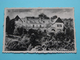 Auberge De JEUNESSE Ettelbrück ( R. Wetzel-Krantz )  Anno 194? ( Voir / See Photos ) ! - Ettelbrück