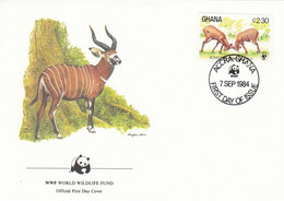 FDC GHANA 1061,WWF 2 - Ghana (1957-...)