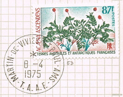 T;A;A;F; N°53 - Used Stamps