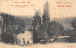 CPA 66 SERIA DE CERDANA 1906 CERCANIAS DE PUIGCERDA BAJADA DE BOURG MADAME - Andere & Zonder Classificatie