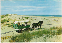 Terschelling - Met De HUIFKAR Naar De Bosplaat  - (Holland/Nederland)  - 68 - Terschelling