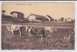 Posieux, Grangeneuve. Ecole D'agriculture. Labours. Charrue Tirée Par Des Boeufs - Posieux