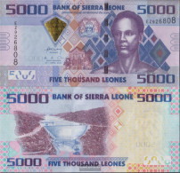 Sierra Leone Pick-number: 32a Uncirculated 2010 5.000 Leones - Sierra Leona