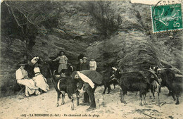 La Bernerie En Retz * Un Charmant Coin De Plage * Chevrier Chèvre - La Bernerie-en-Retz