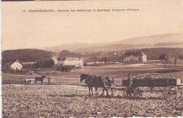 Posieux, Grangeneuve. Ecole D'agriculture. Rentrée Des Betteraves Et épandage D'engrais Chimiques - Posieux