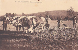 Posieux, Grangeneuve. Ecole D'agriculture. Labour D'automne Avec Boeufs - Posieux