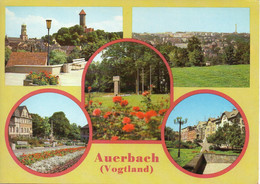 011043  Auerbach (Vogtland) - Mehrbildkarte - Auerbach (Vogtland)
