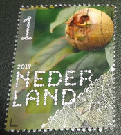 Nederland - NVPH - Xxxx - 2019 - Gebruikt - Beleef De Natuur - Mispel - Gebruikt