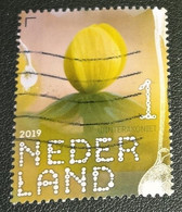 Nederland - NVPH - Xxxx - 2019 - Gebruikt - Beleef De Natuur - Winterakoniet - Usados