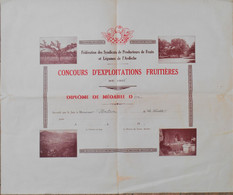 07.LA VOULTE.FEDERATION DES SYNDICATS DE PRODUCTEURS FRUITS & LEGUMES DE L'ARDECHE.DIPLOME DE MEDAILLE D'OR - Non Classés