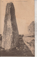 56 - ERDEVEN - L' Un Des Géants De Kerzerho (Mégalithe) - Dolmen & Menhirs