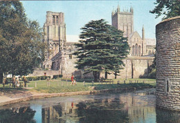 Bishops Palace, Wells - Unused Postcard - Somerset - J Arthur Dixon - Wells