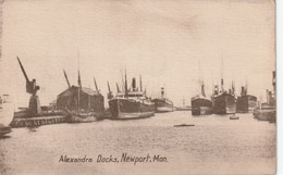 MONMOUTH - ALEXANDRA DOCKS - Monmouthshire