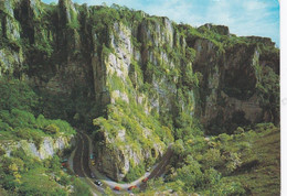 Cheddar Gorge - Unused Postcard - Somerset - J Arthur Dixon - Wells