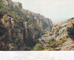 Cheddar Gorge - Unused Postcard - Somerset - J Arthur Dixon - Cheddar