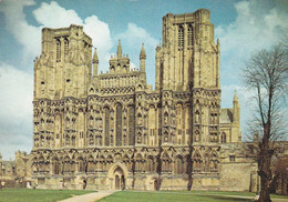 Wells Cathedral - Unused Postcard - Somerset - J Arthur Dixon - Wells