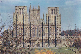 Wells Cathedral - Unused Postcard - Somerset - J Arthur Dixon - Wells