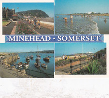 Minehead Multiview - Unused Postcard - Somerset - - Minehead