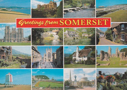 Greetings From Somerset  Multiview - Unused Postcard - Somerset - - Minehead