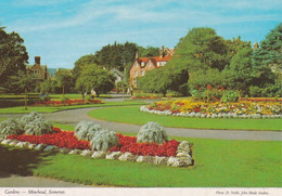 Minehead Gardens - Unused Postcard - Somerset - John Hinde - Minehead