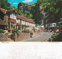 Cheddar - Unused Postcard - Somerset - John Hinde - Cheddar