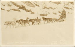 PC U.S. ALASKA, HUSKIES FROM FAIRBANKS, Vintage REAL PHOTO Postcard (b29182) - Fairbanks