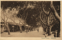 PC EGYPT, ISMAILIA, GUICHARD AVENUE, Vintage Postcard (b34320) - Ismaïlia