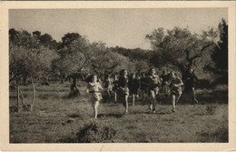 PC SCOUTING, EN SORTIE : LE JEU, Vintage Postcard (b28593) - Scoutismo