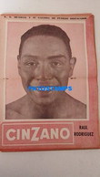 174797 SPORTS BOX BOXEO K.O WORLDWIDE AND OUTSTANDING FIGHTERS RAUL RODRIGUEZ SHEET 28 X 41 CM NO POSTCARD - Otros & Sin Clasificación