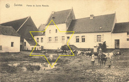 SAINTES - Ferme De SAINTE RENELDE - Tubize