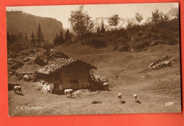 MKG-40  Lieu à Déterminer . A La Montagne  Troupeau De Vaches  Circulé, écrite Du Locle  1915 Perrochet-M. 9324 - Le Locle