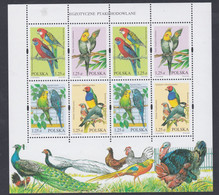 Pologne N° 3868 / 71 F XX Faune : Oiseaux D'élevage Les 8 Valeurs  Se Tenant En 1 Petite Feuille Sans Charnière, TB - Full Sheets