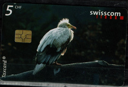 SWITZERLAND 2004 PHONECARDS BIRDS USED VF!! - Altri