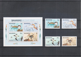 Bahamas Aus 1981, Vögel, Kompletter Postfrisch Satz Mit Block, MNH - Oche