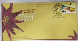 India 2021 Byagdi Chilli GI Tag Special Cover Spices, Food, Gastronomy, Fruit Vegetable, Curry  (**) Inde Indien - Covers & Documents