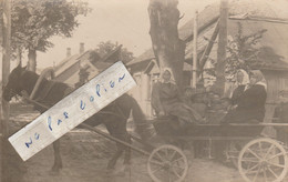 LETTONIE  - Un Bel Attelage En 1923 ( Carte-photo )  Superbe Et Rare - Letonia